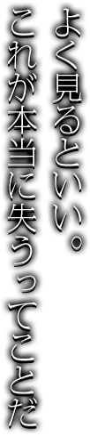 よく見るといい。これが本当に失うってことだ